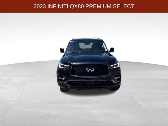 Infiniti QX80  2023
