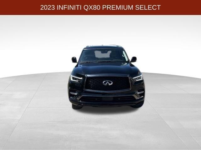 Infiniti QX80  2023