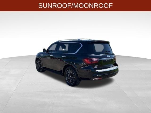 Infiniti QX80  2023