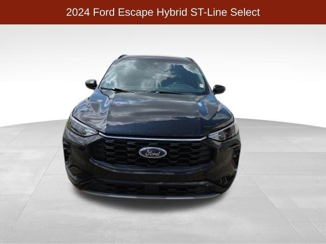 Ford Escape Hybrid  2024