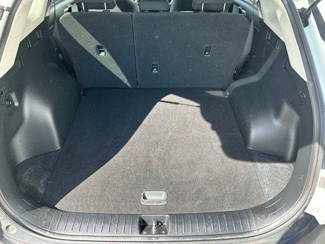 Kia Sportage  2024