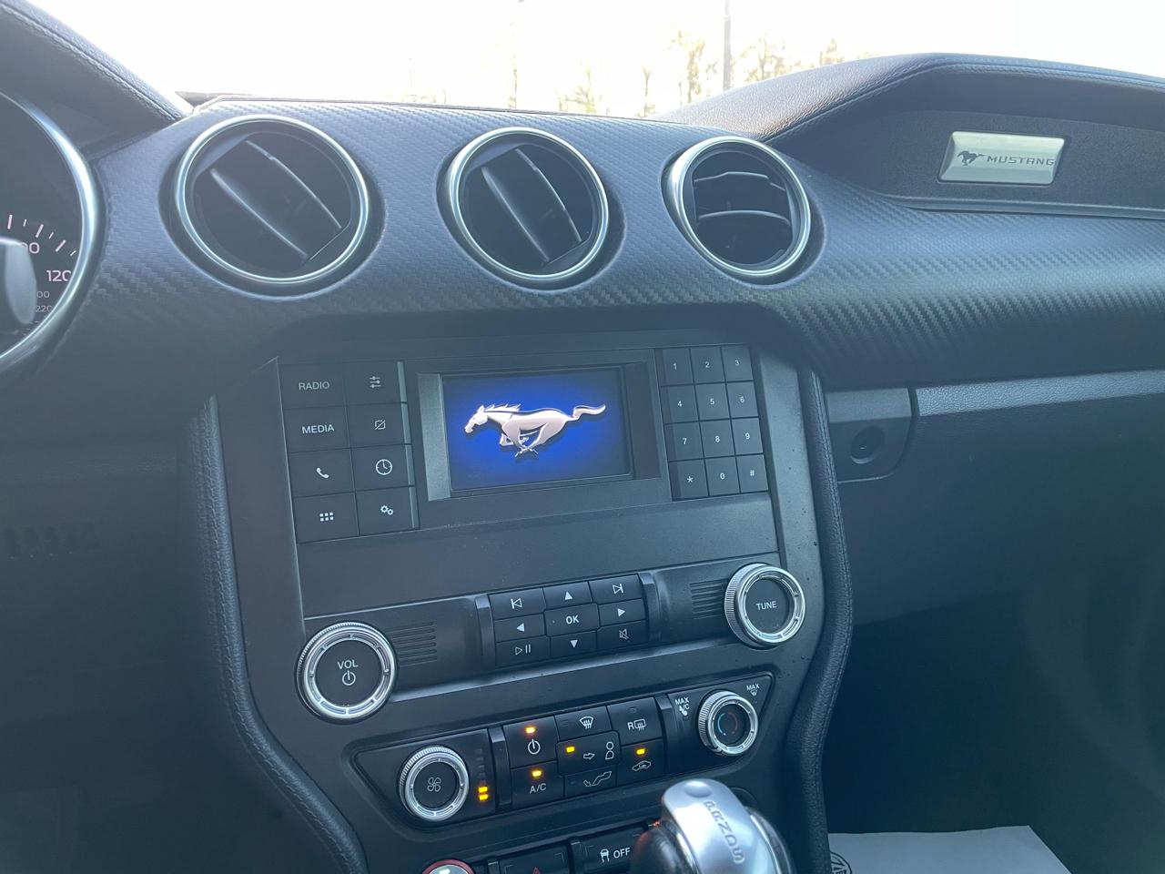 Ford Mustang EcoBoost Coupe 2019