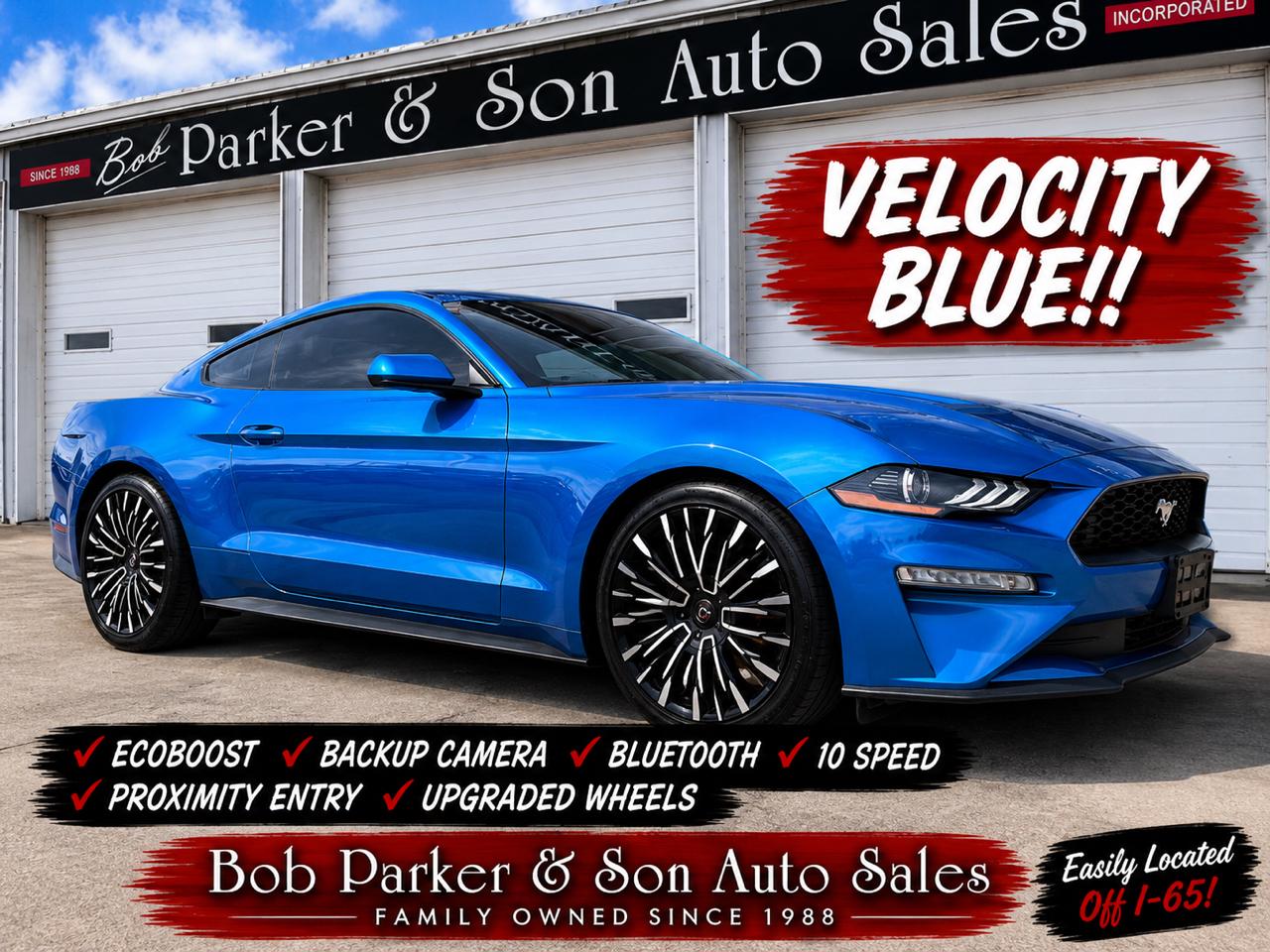 2019 Ford Mustang