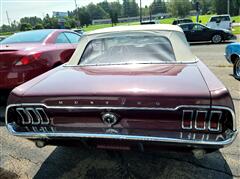 1967 Ford Mustang  1967 Ford Mustang