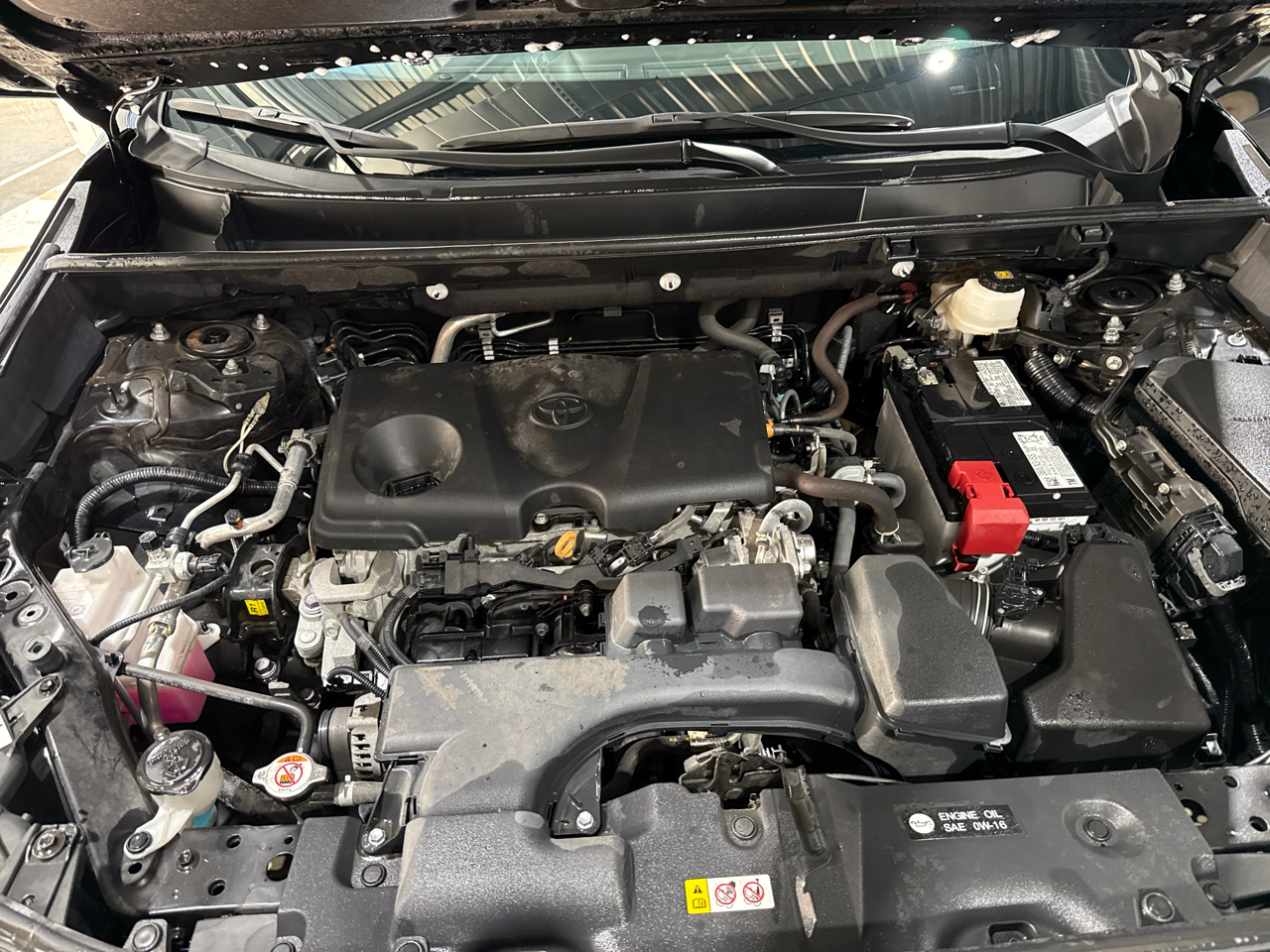 Toyota RAV4 XLE 4D SUV FWD 2024