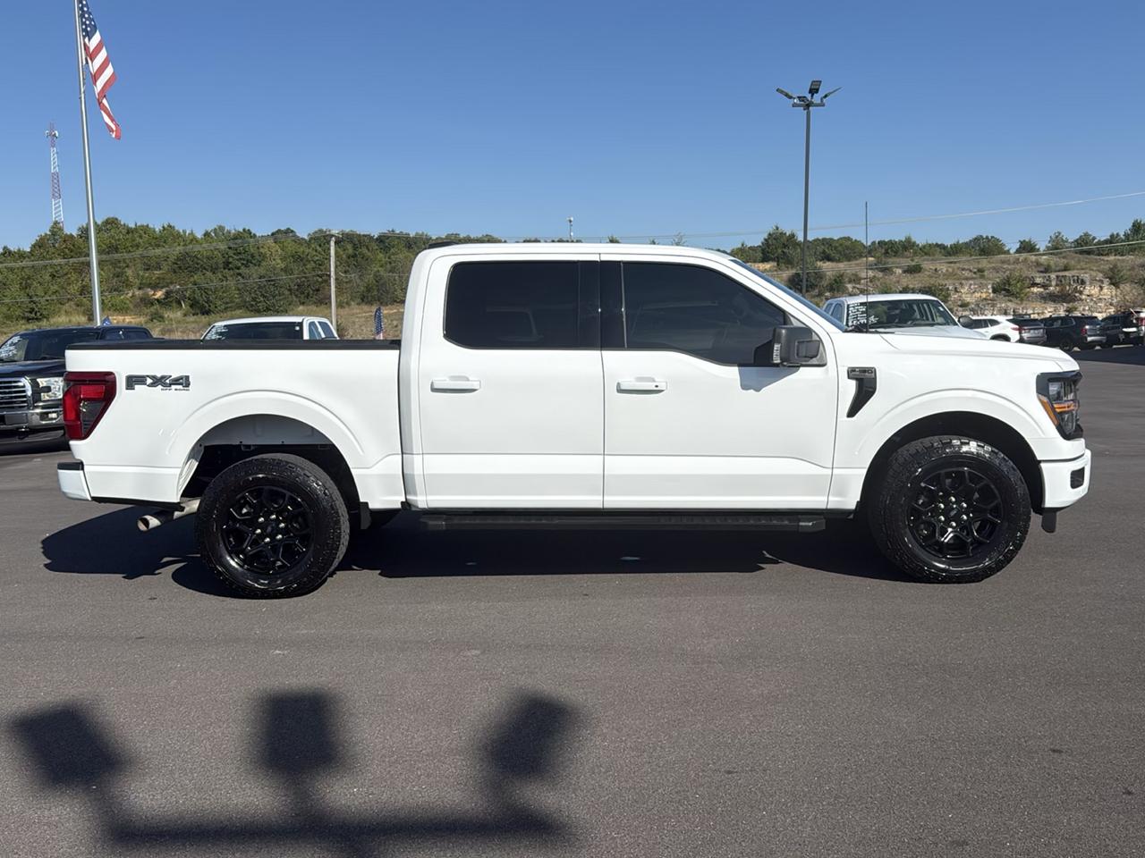 Ford F-150 photo 7