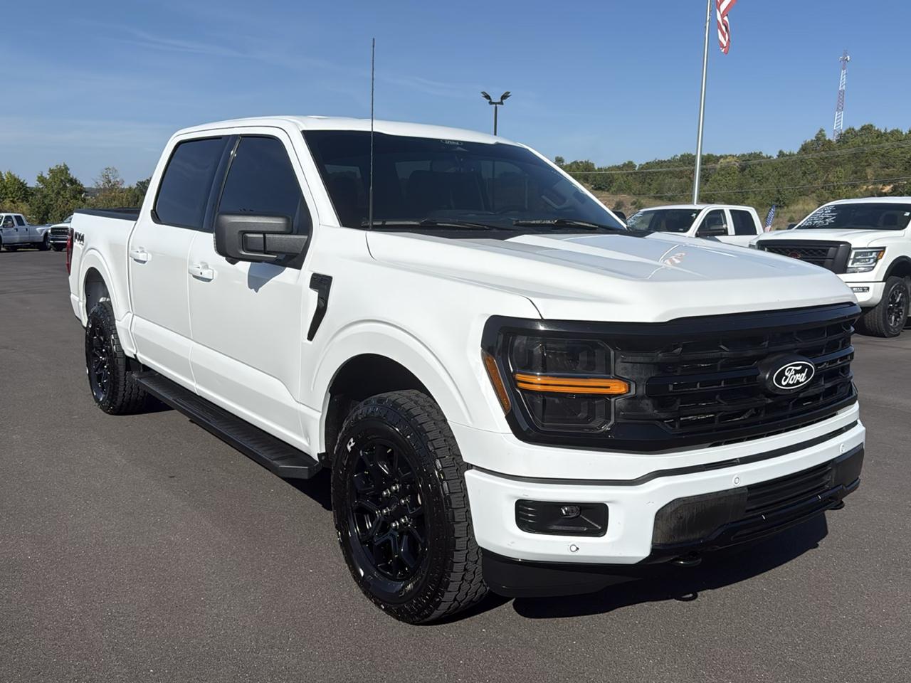 Ford F-150 photo 8