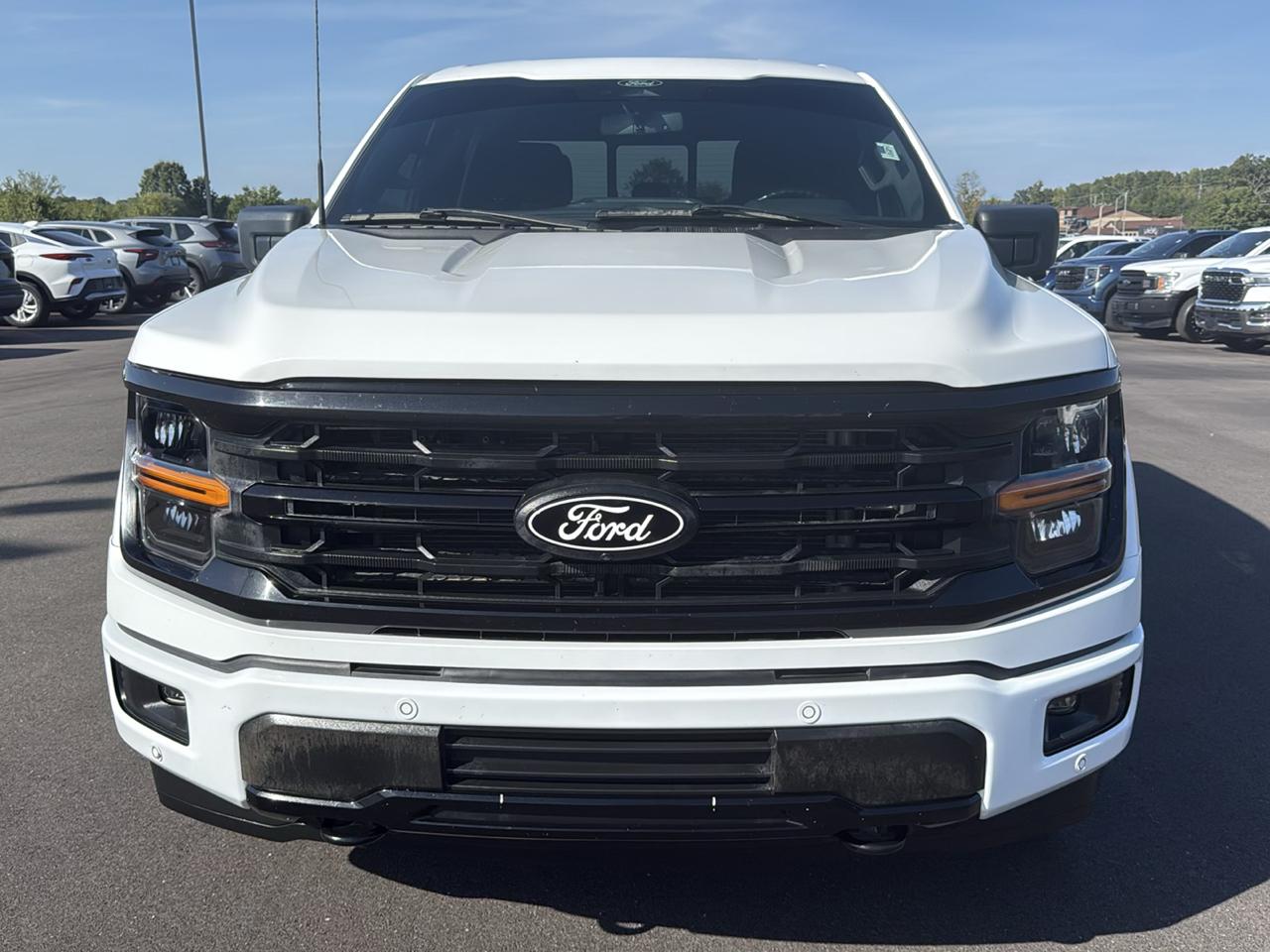 Ford F-150 photo 9