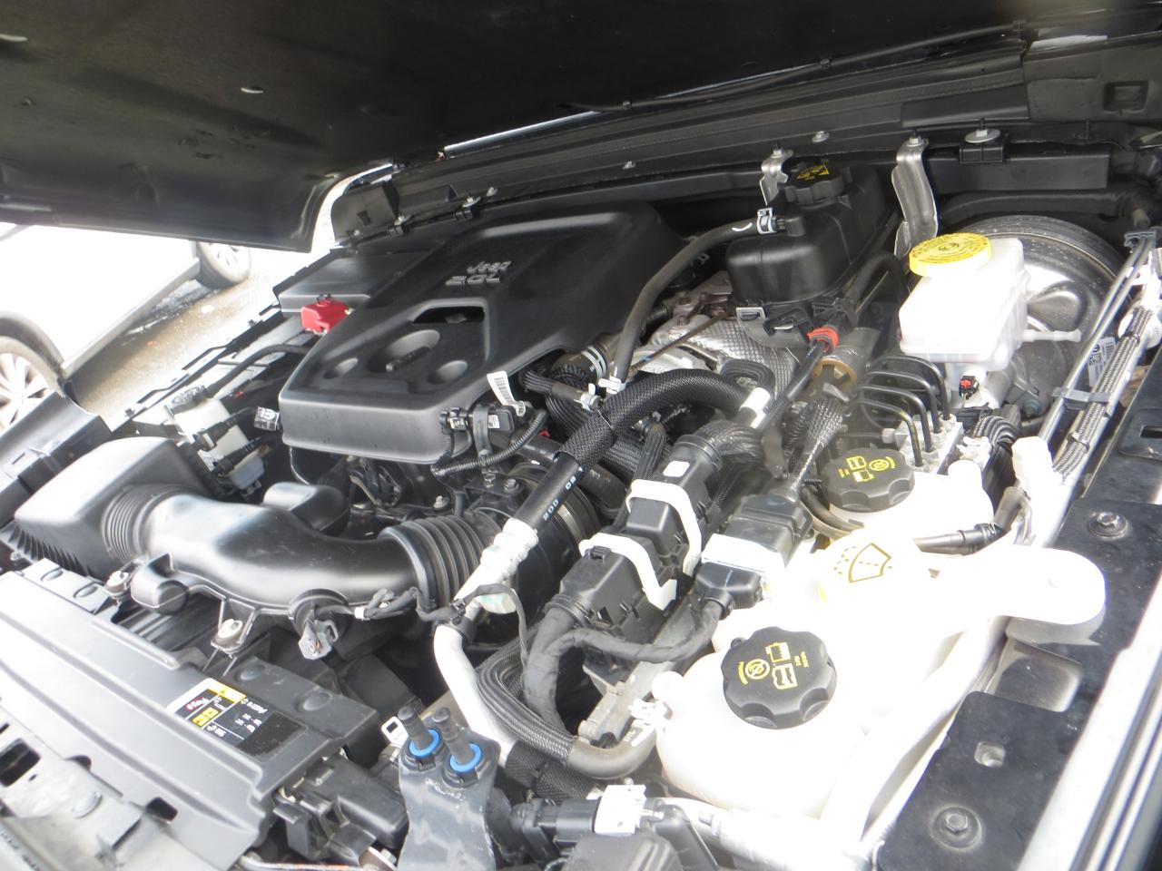 Jeep Wrangler Unlimited North Edition 2020