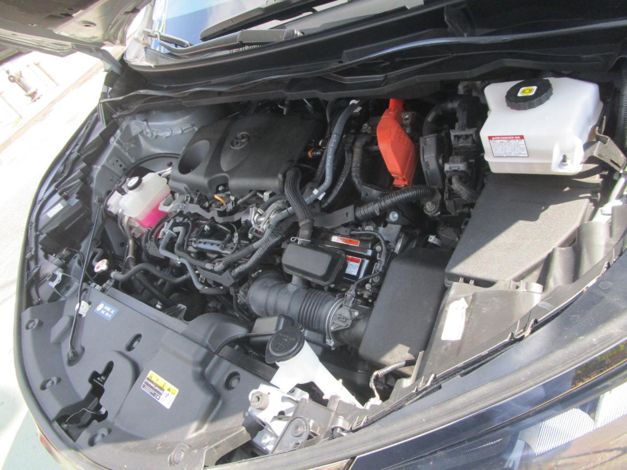 Toyota Sienna  2023
