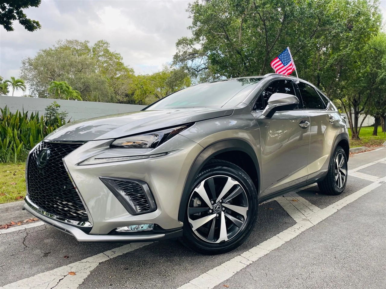 2018 Lexus NX 300's photo