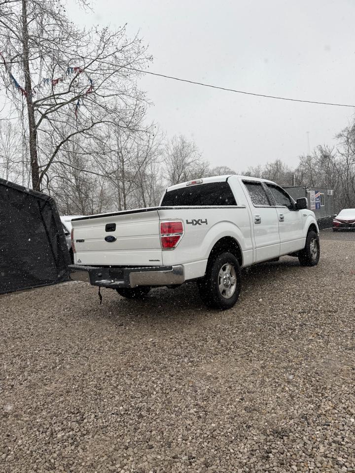 Ford F-150 XL SuperCrew 5.5-ft. Bed 4WD 2013