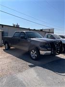 2006 Ford F-150  2006 Ford F-150