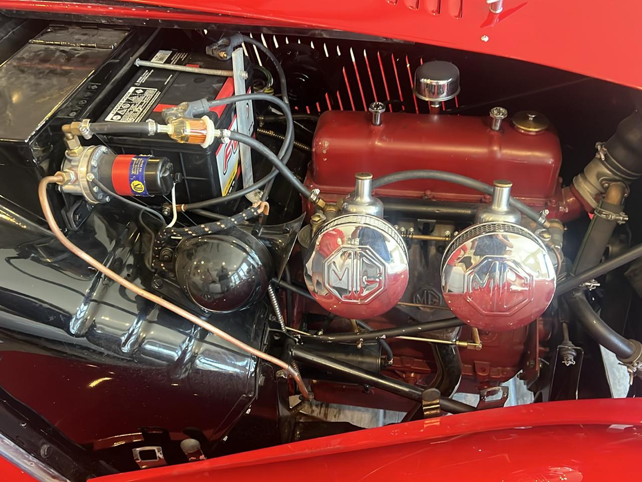 MG Roadster  1951