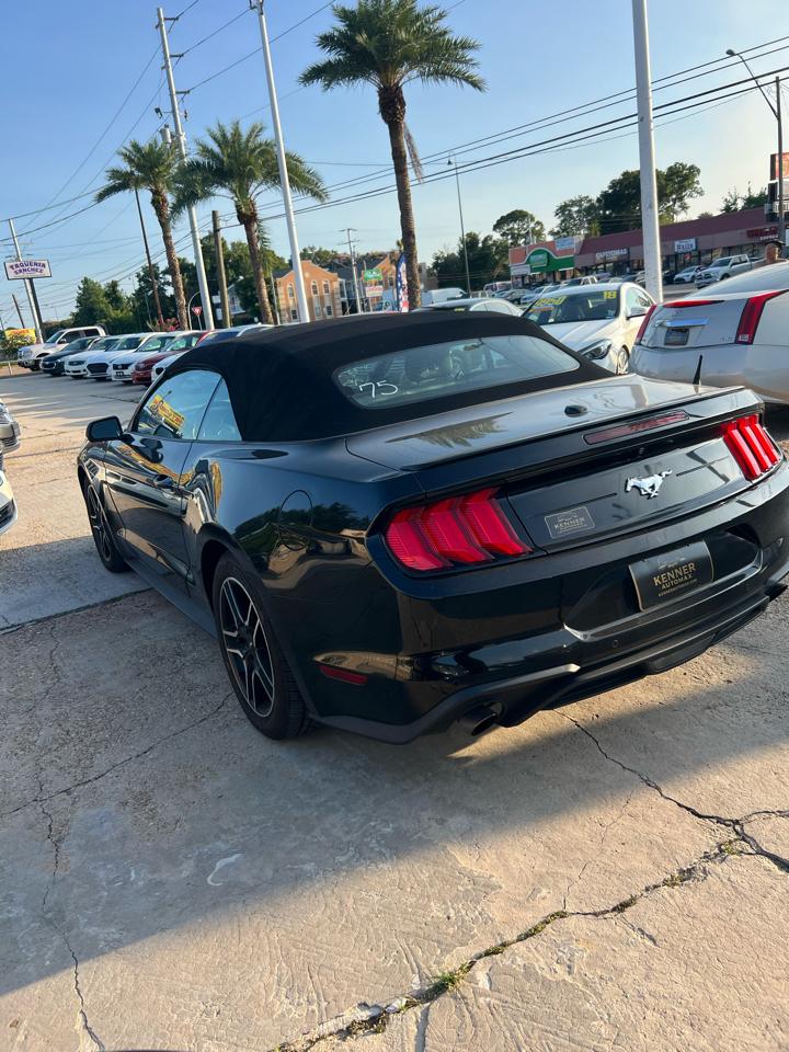 Ford Mustang EcoBoost Premium Convertible 2022
