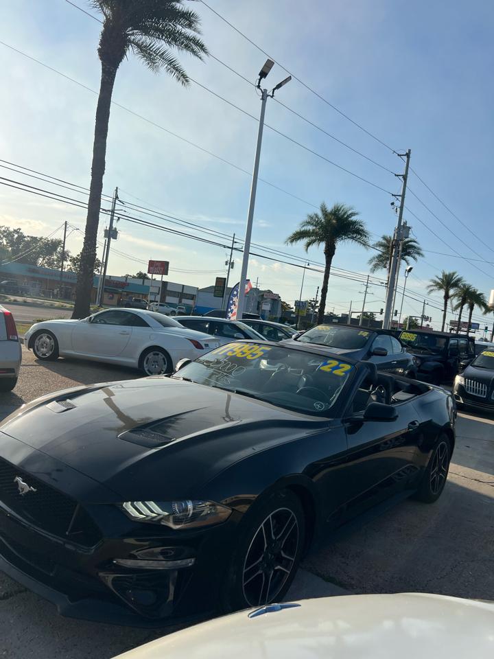 Ford Mustang EcoBoost Premium Convertible 2022