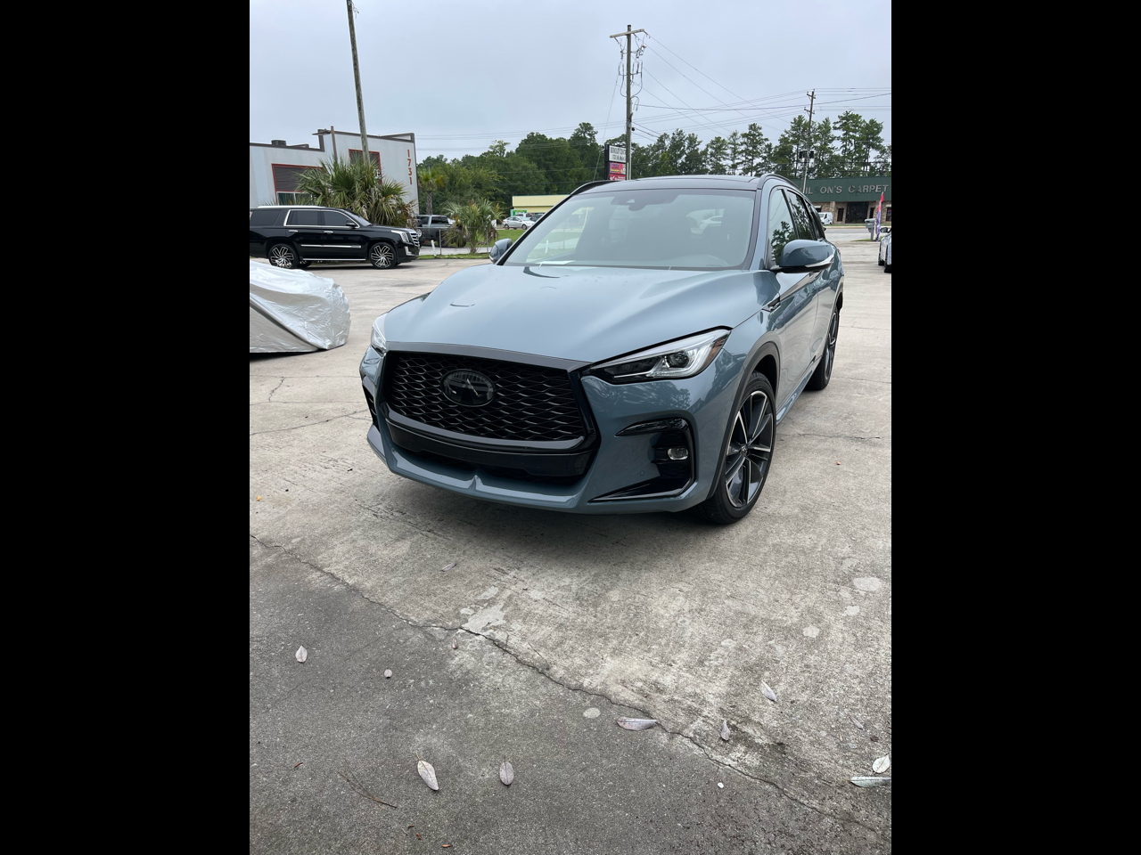 2023 INFINITI QX50 Sport's photo