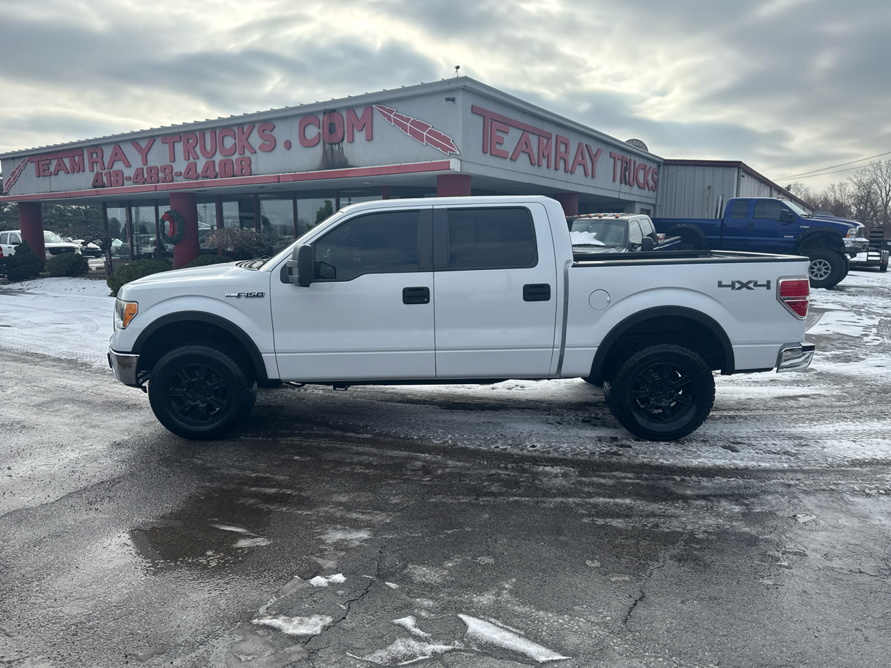 Ford F-150 4WD SuperCrew 145" FX4 2010