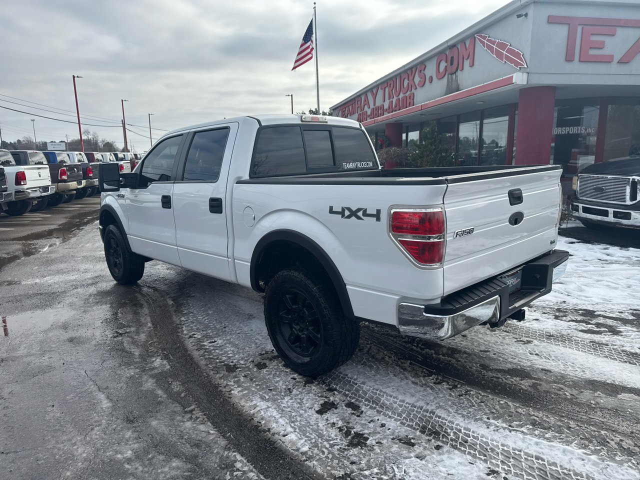 Ford F-150 4WD SuperCrew 145" FX4 2010