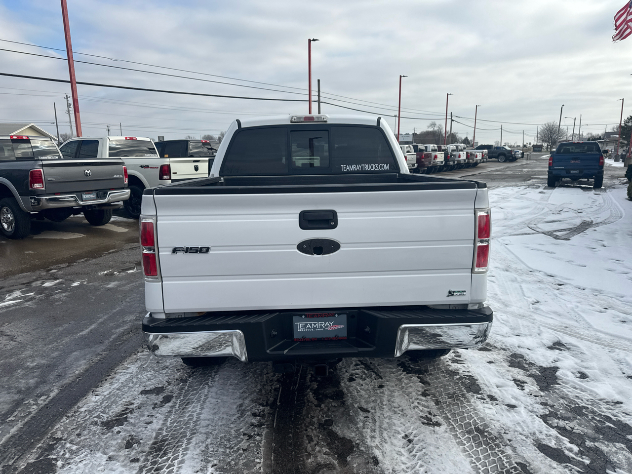 Ford F-150 4WD SuperCrew 145" FX4 2010