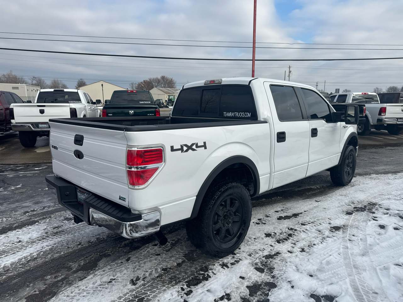 Ford F-150 4WD SuperCrew 145" FX4 2010