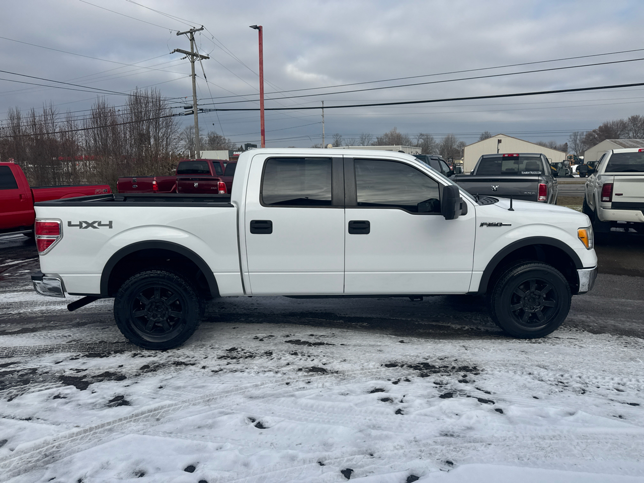 Ford F-150 4WD SuperCrew 145" FX4 2010