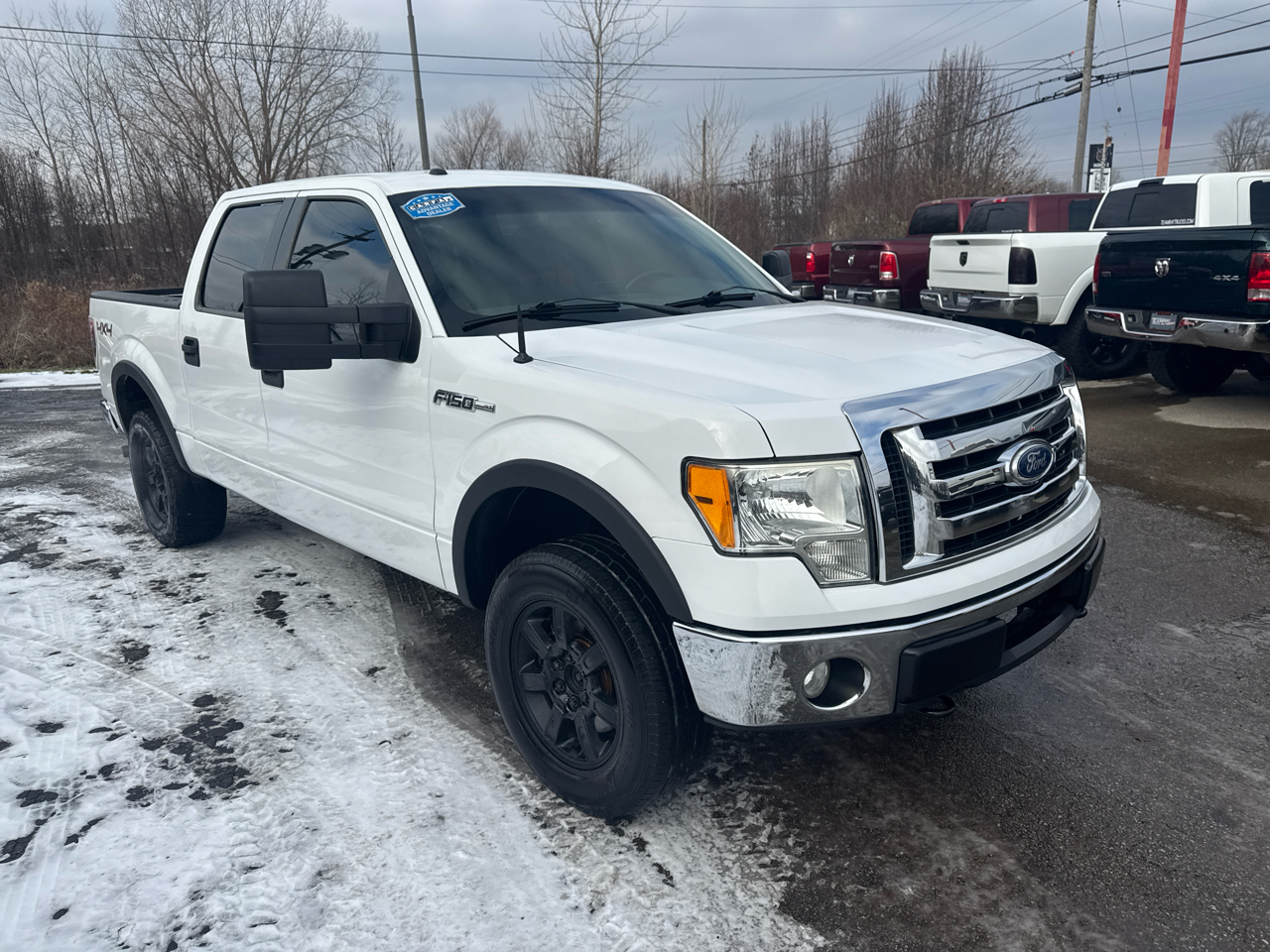 Ford F-150 4WD SuperCrew 145" FX4 2010