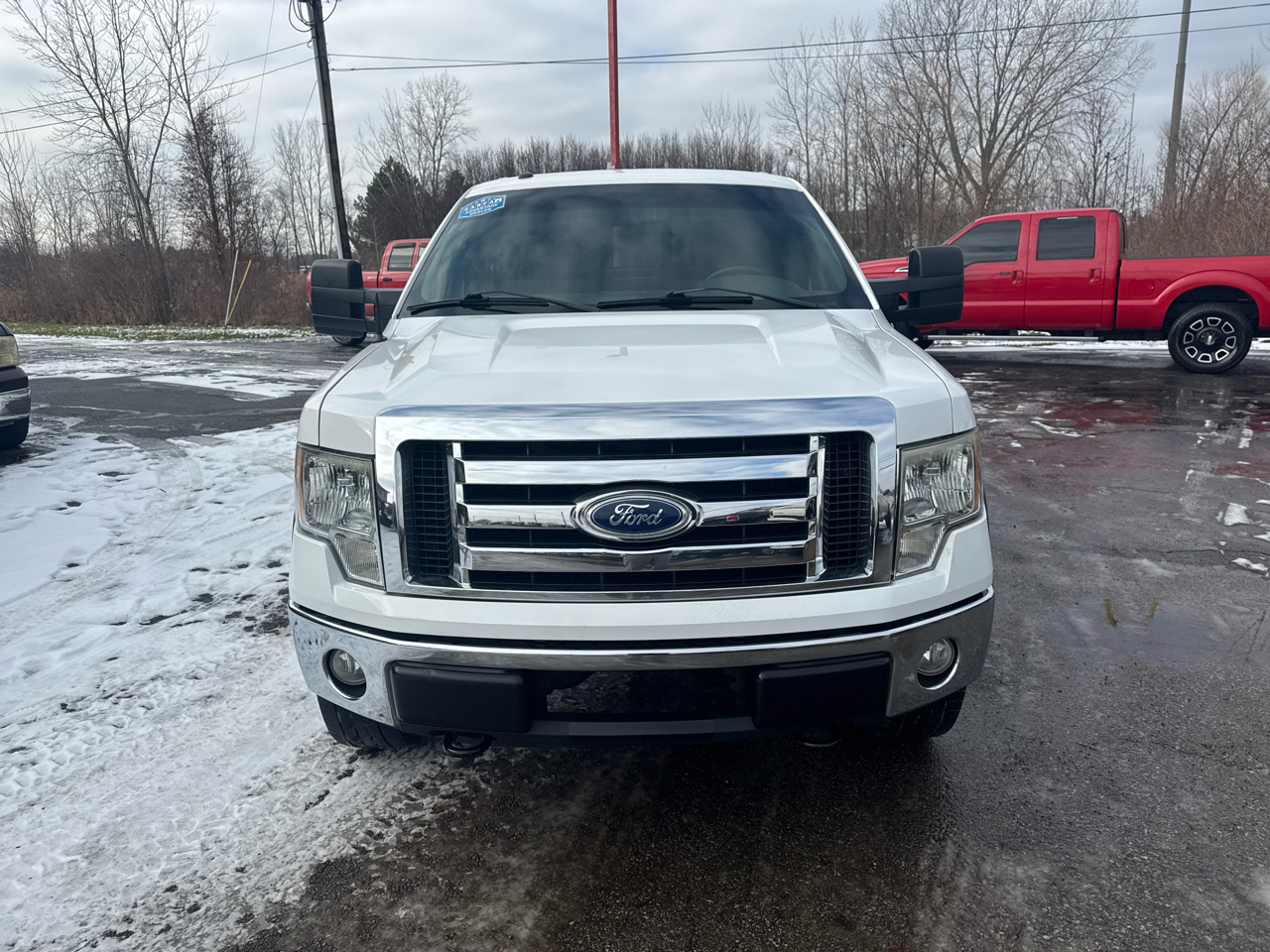 Ford F-150 4WD SuperCrew 145" FX4 2010