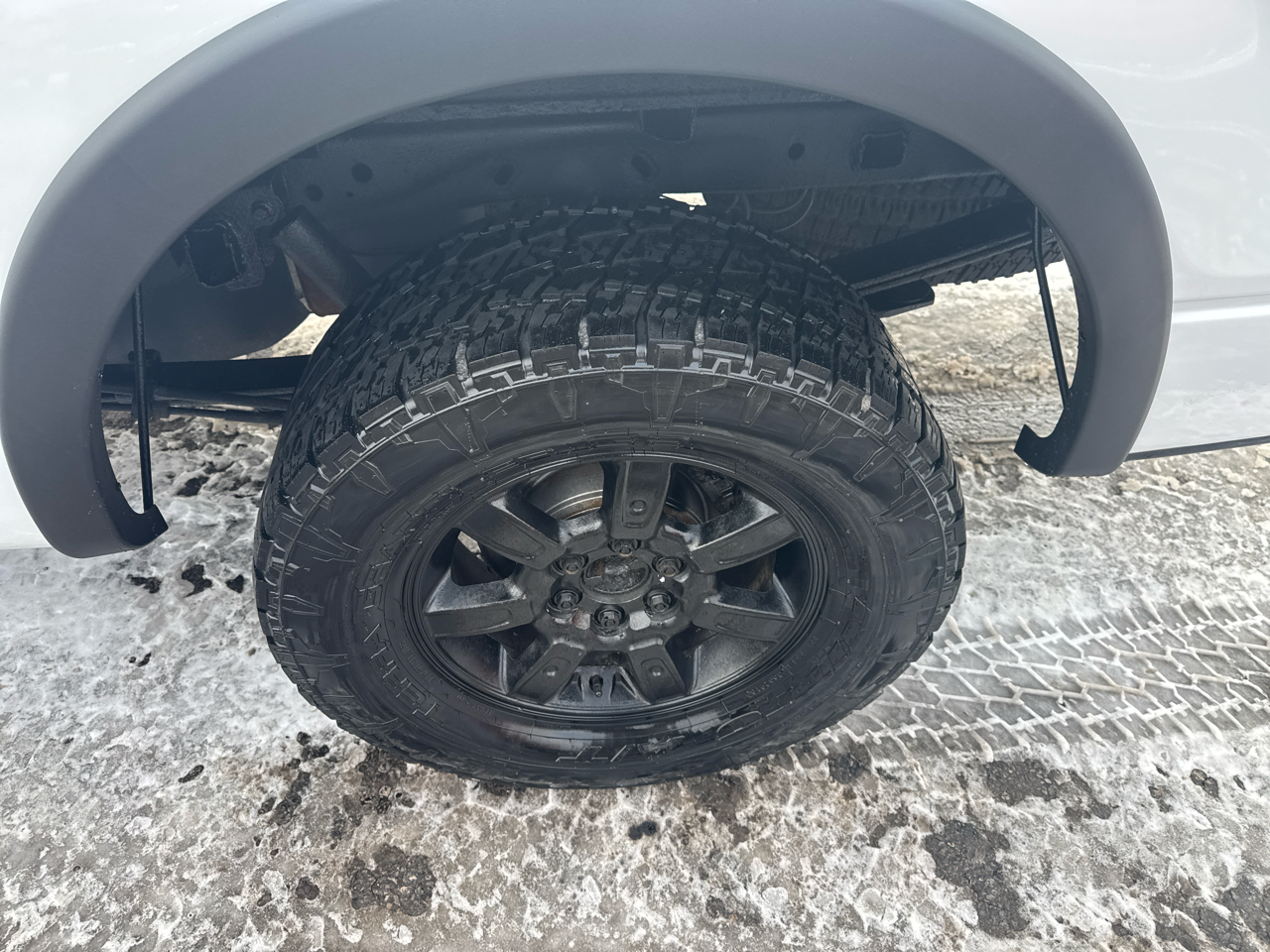 Ford F-150 4WD SuperCrew 145" FX4 2010