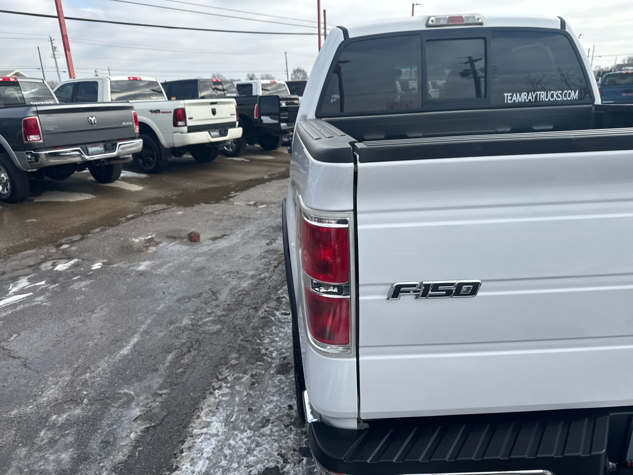Ford F-150 4WD SuperCrew 145" FX4 2010