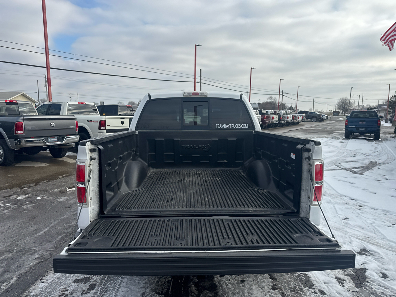 Ford F-150 4WD SuperCrew 145" FX4 2010