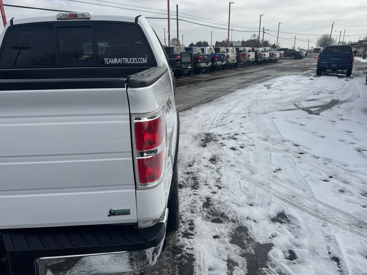 Ford F-150 4WD SuperCrew 145" FX4 2010