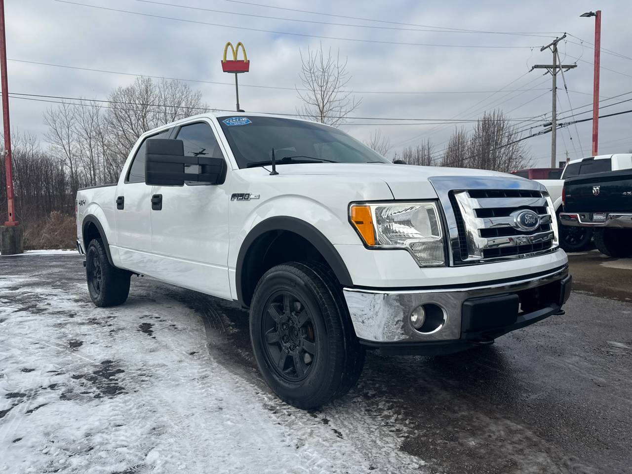 Ford F-150 4WD SuperCrew 145" FX4 2010