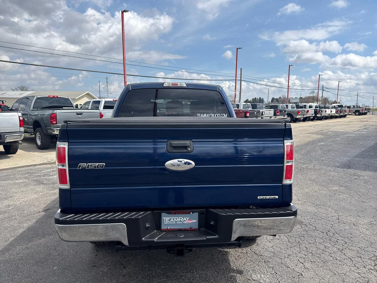 Ford F-150 4WD SuperCrew 145" XLT 2012