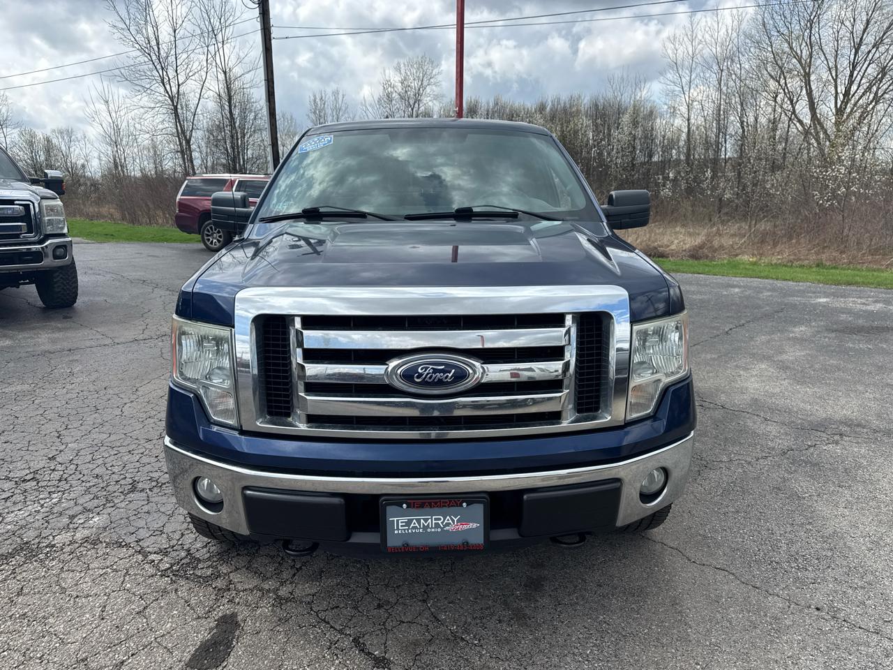 Ford F-150 4WD SuperCrew 145" XLT 2012