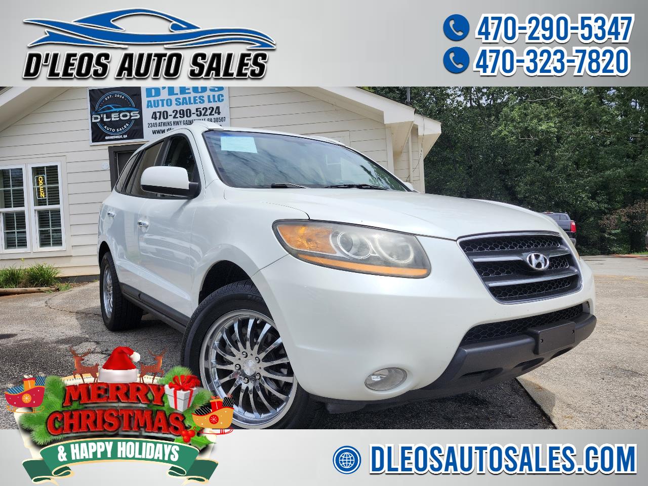 2008 Hyundai Santa Fe SE's photo