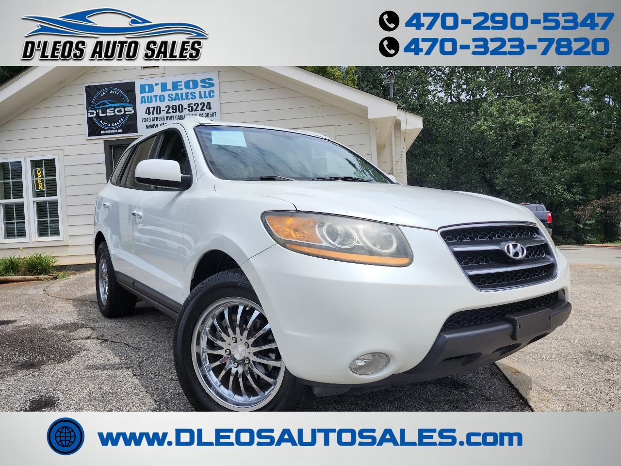 2008 Hyundai Santa Fe SE's photo