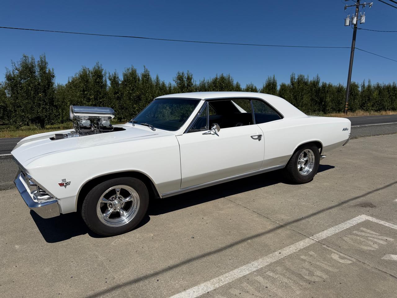 Chevrolet Chevelle Malibu SS  1966