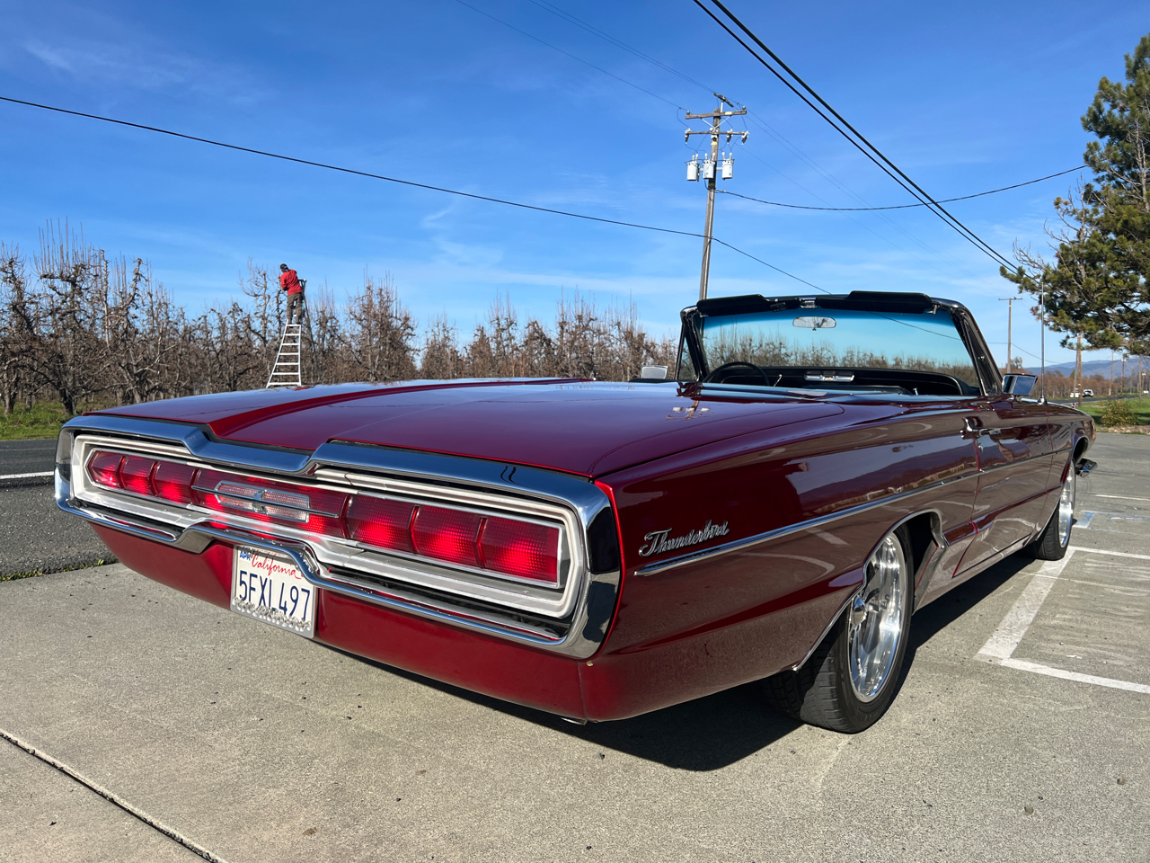 Ford Thunderbird 2dr Convertible Premium 1966