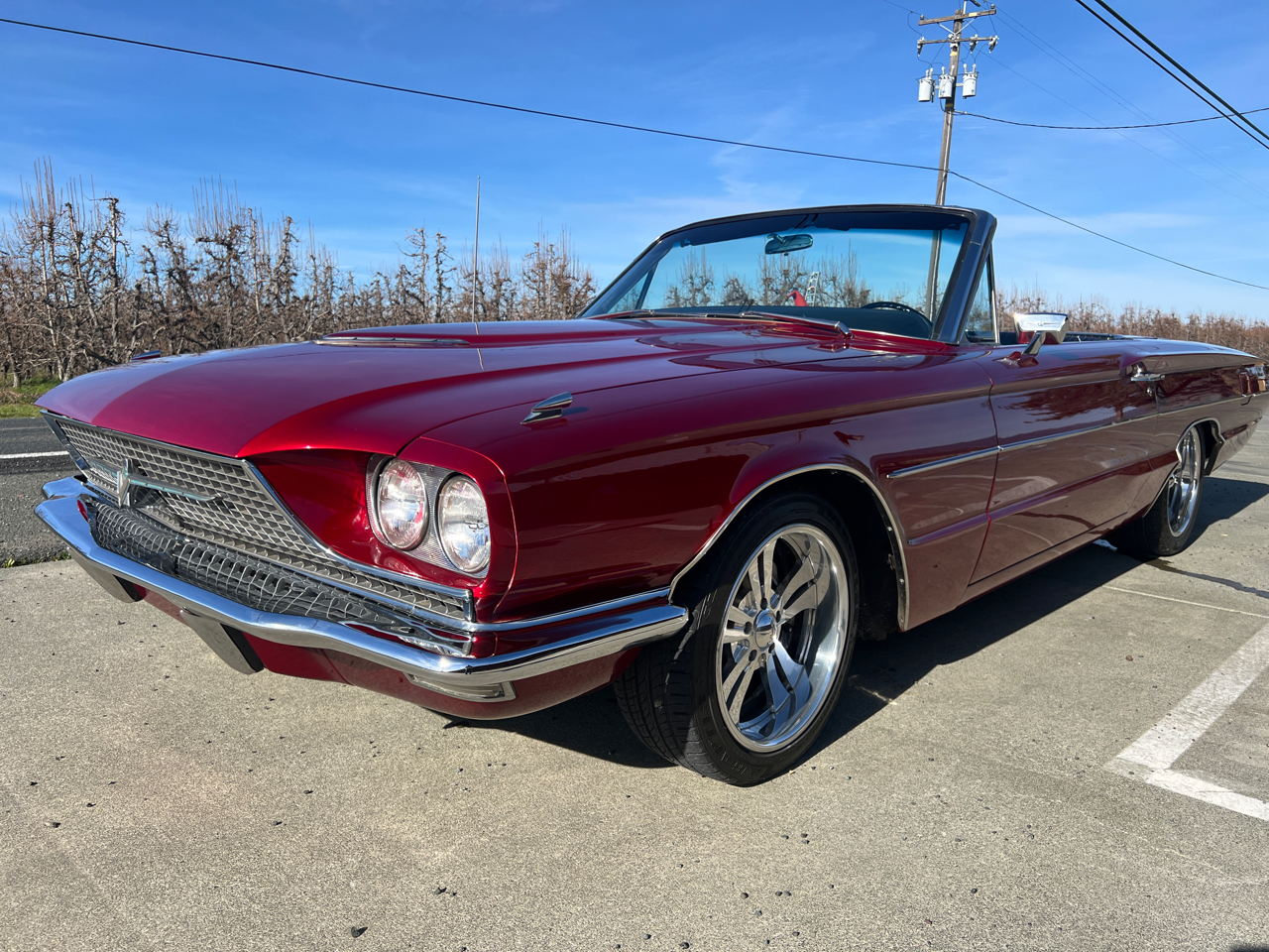 Ford Thunderbird 2dr Convertible Premium 1966