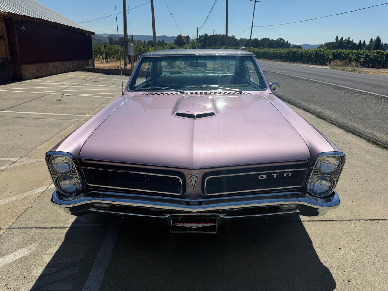 Pontiac GTO  1965