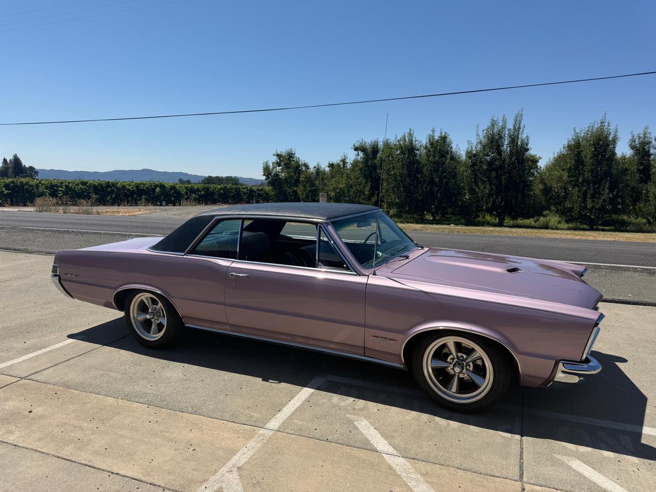 Pontiac GTO  1965
