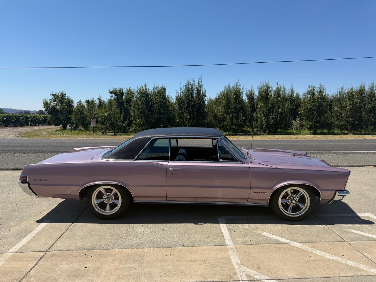 Pontiac GTO  1965