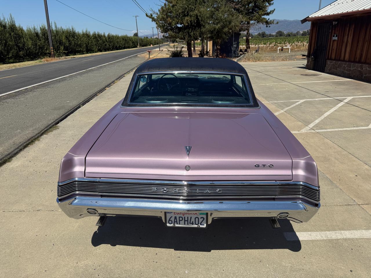 Pontiac GTO  1965