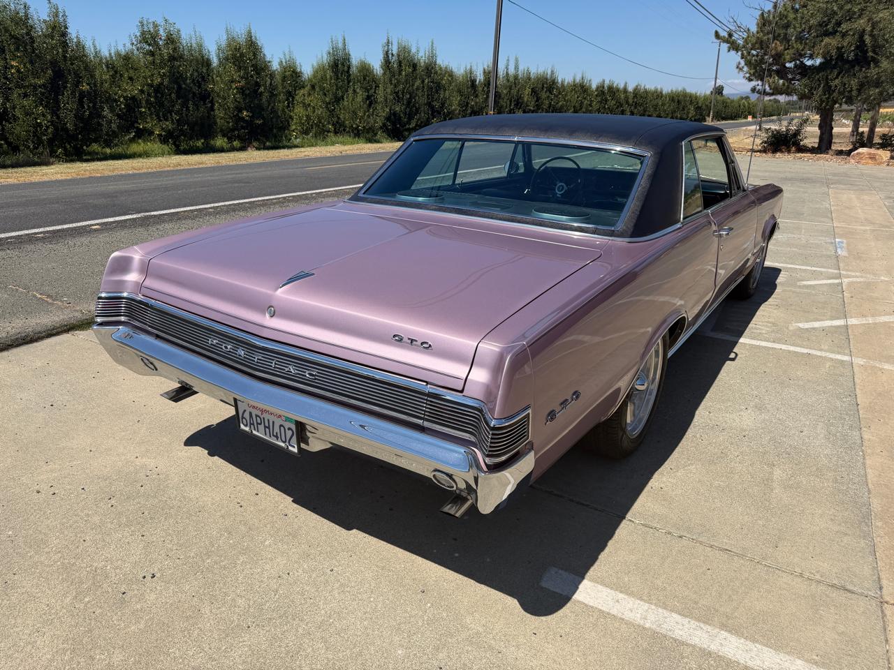Pontiac GTO  1965