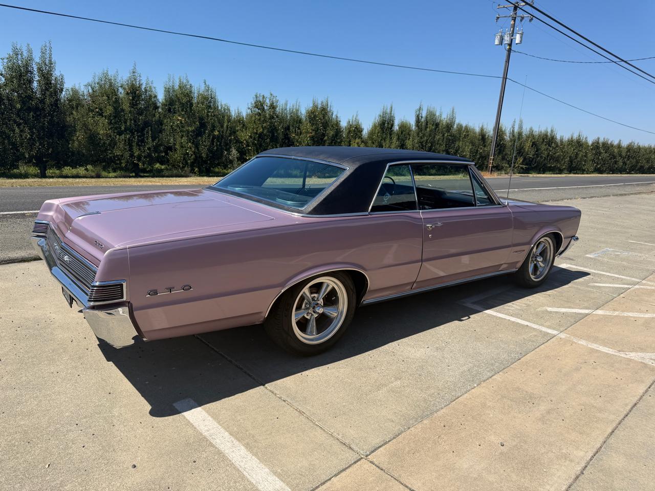 Pontiac GTO  1965