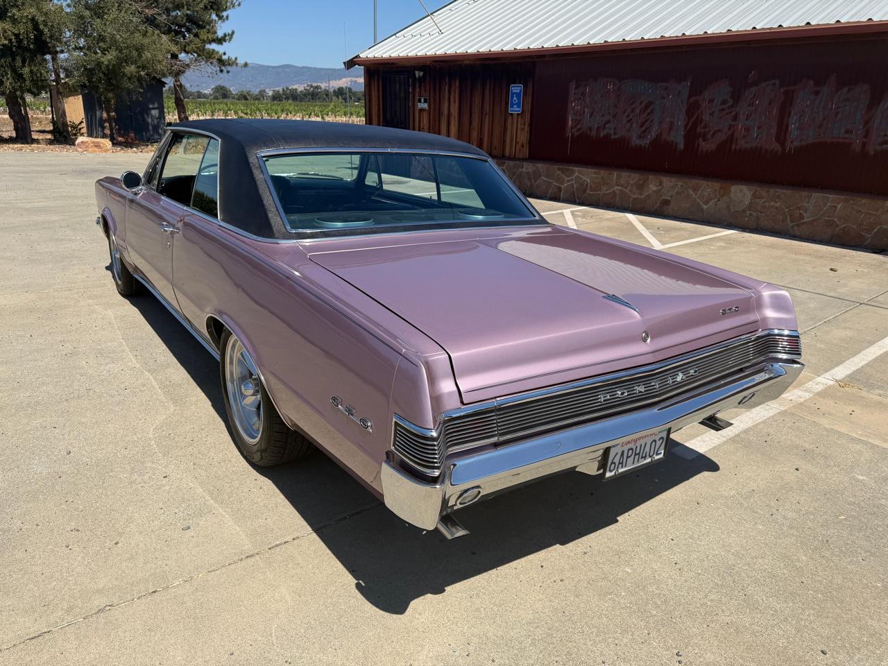 Pontiac GTO  1965