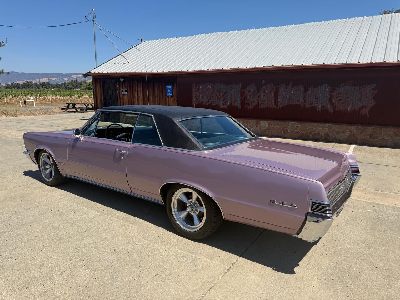 Pontiac GTO  1965