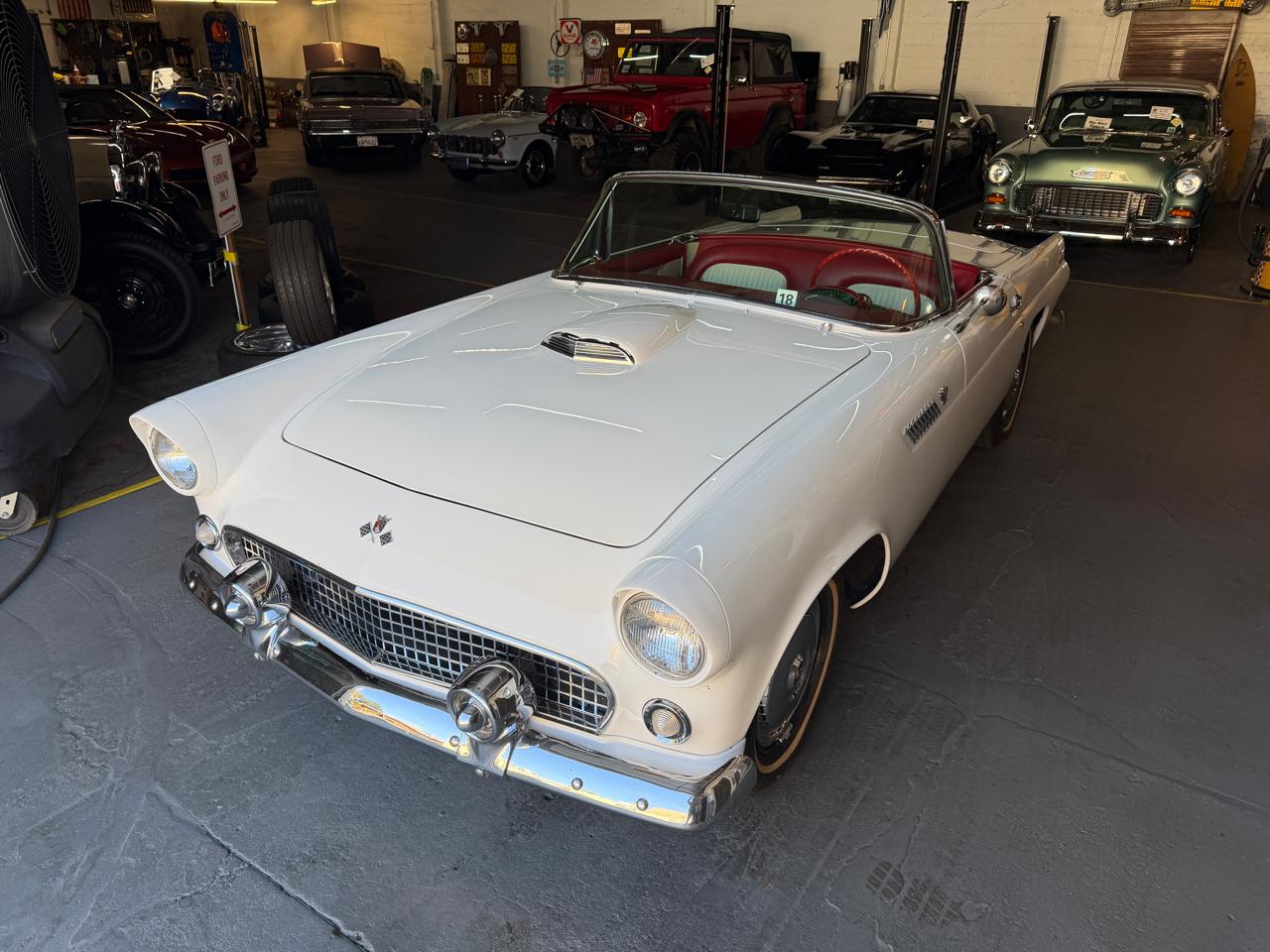 Ford Thunderbird  1955