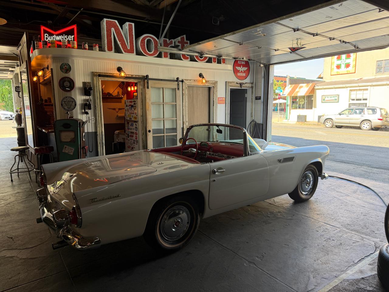 Ford Thunderbird  1955